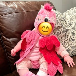 Baby flamingo costume 6-12 no